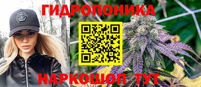 эйфоретик Обь