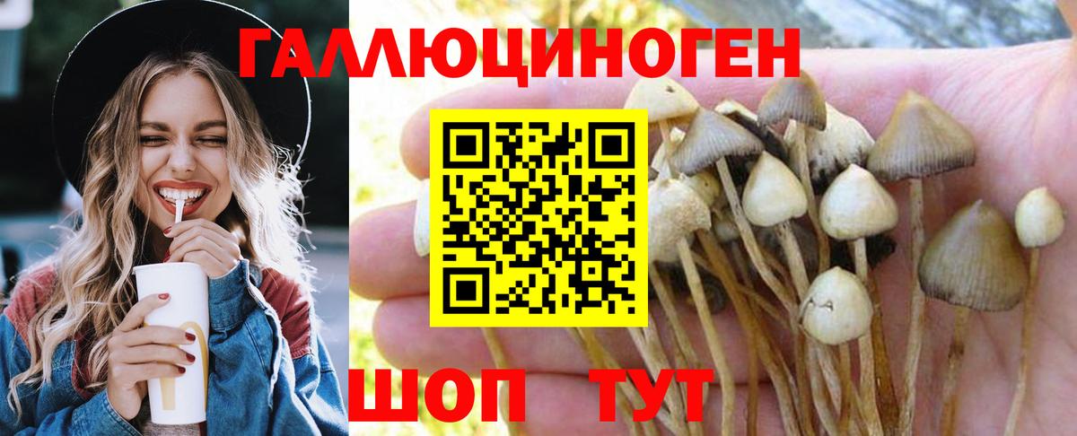 Галлюциногенные грибы Psilocybine cubensis Ревда