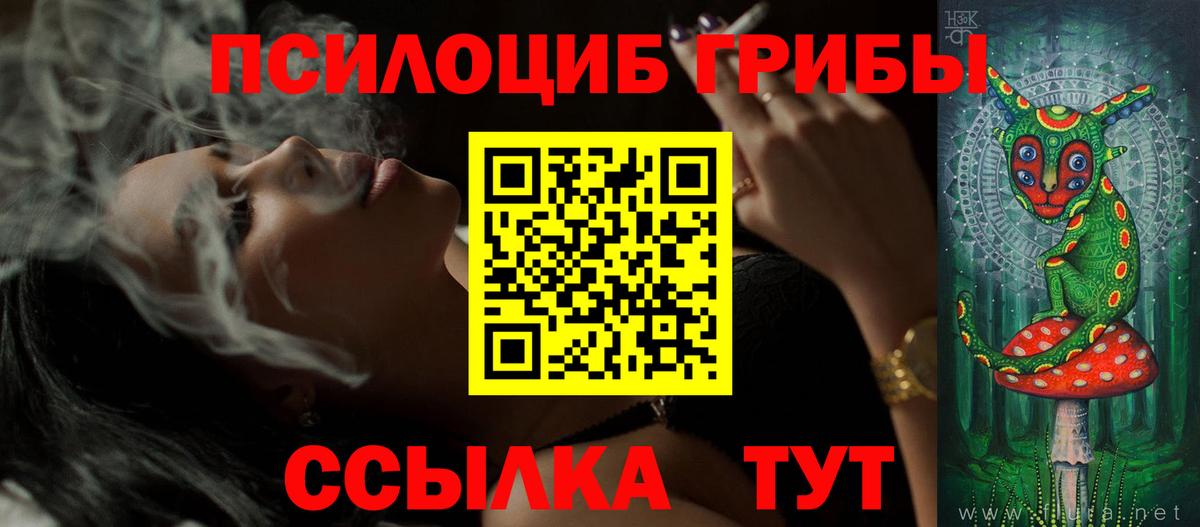 Псилоцибиновые грибы прущие грибы  Вход с VPN  Ревда  Псилоцибиновые грибы GOLDEN TEACHER 